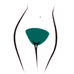 Brazilian-Front-Final
